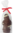 Schoxxi Santa Claus